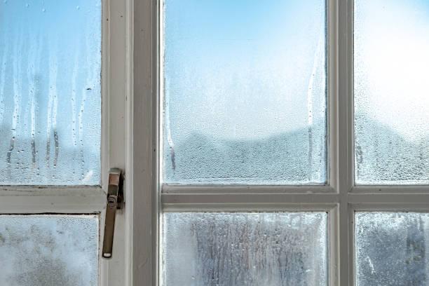 What is the Ideal Indoor Humidity Level for Your House?